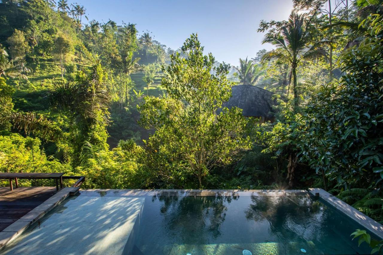 Buahan, A Banyan Tree Escape Payangan Exterior photo